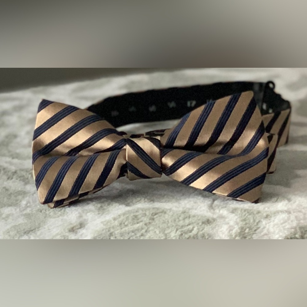 Striped Pre-tied Bow Tie